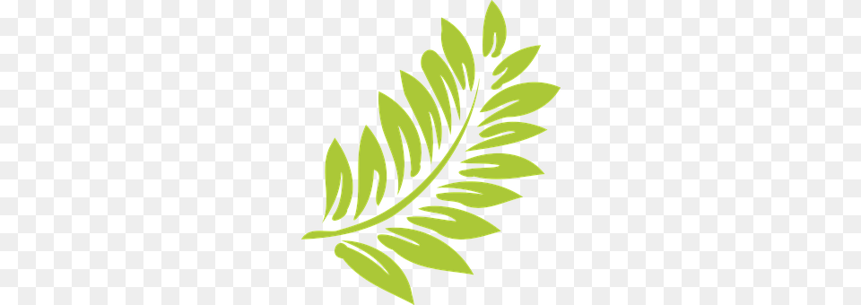 Leaf Green, Plant, Art, Graphics Free Png