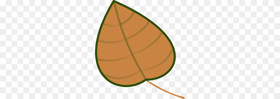 Leaf Plant, Disk Free Png Download