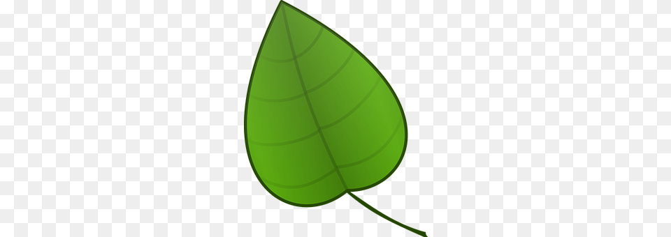 Leaf Plant, Disk Free Png