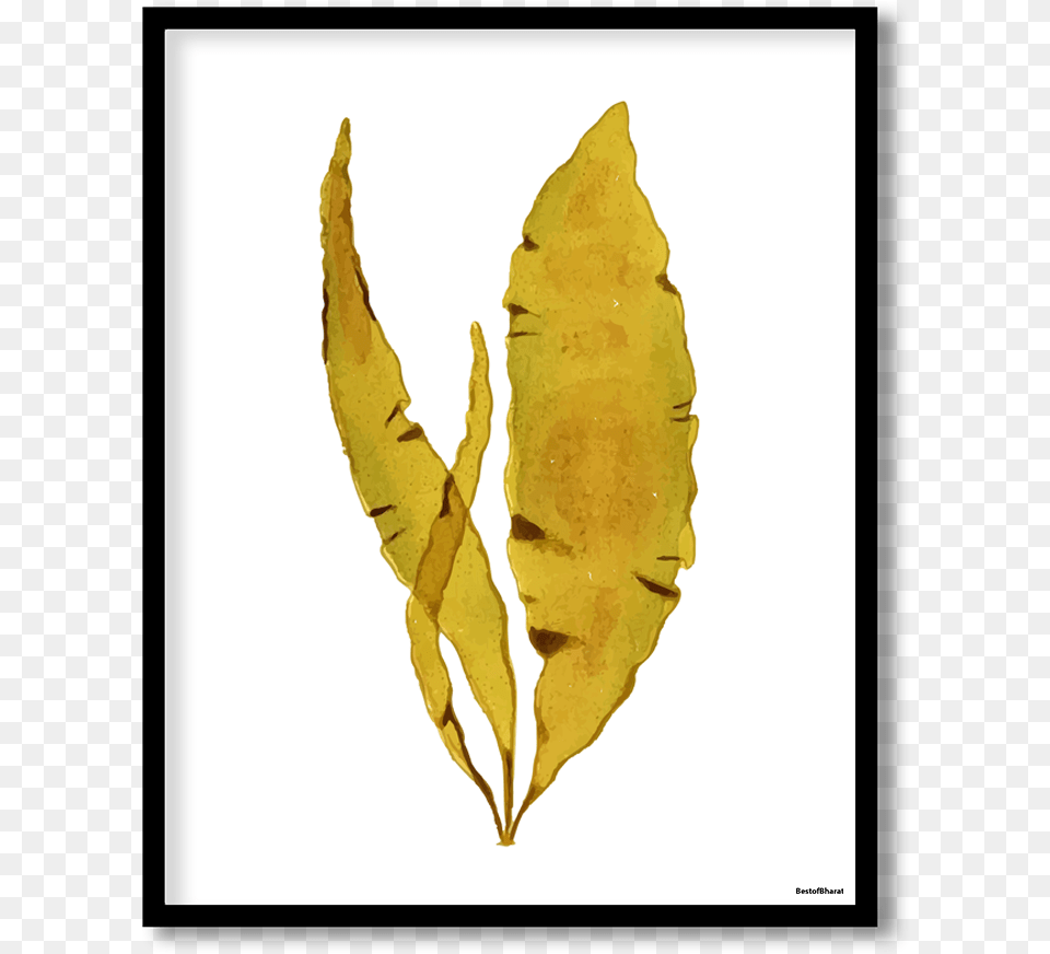 Leaf, Plant, Person, Face, Head Free Transparent Png