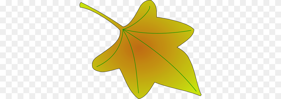 Leaf Plant, Maple Leaf, Tree, Bow Free Png