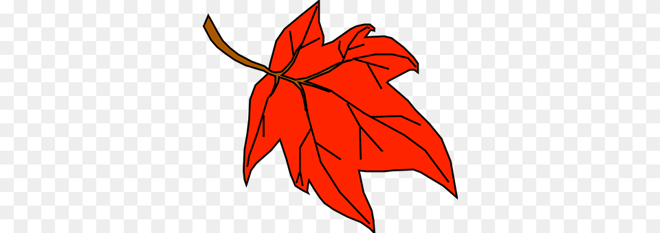 Leaf Plant, Tree, Maple Leaf, Animal Free Png Download