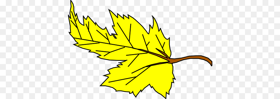 Leaf Plant, Maple Leaf, Tree, Animal Png