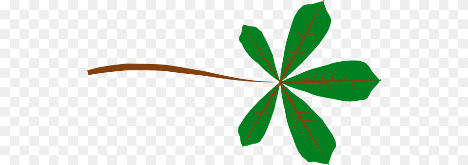 Leaf Plant, Tree, Vegetation Png Image