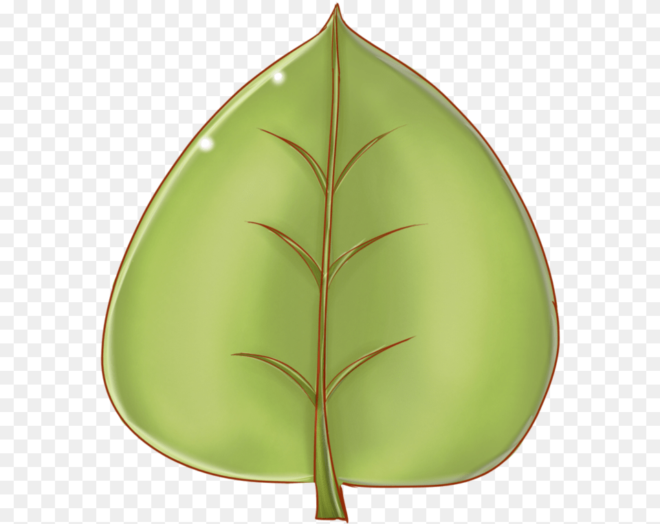 Leaf 4 By Cartproductions On Clipart Library Leaf Cartoon, Plant, Flower Png