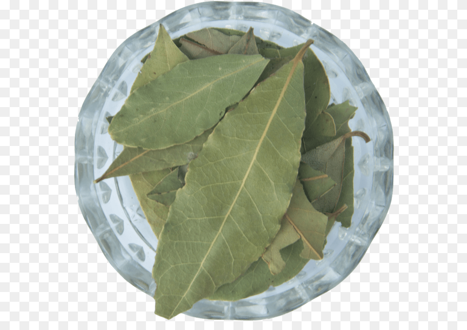 Leaf, Plant, Plate, Food Png