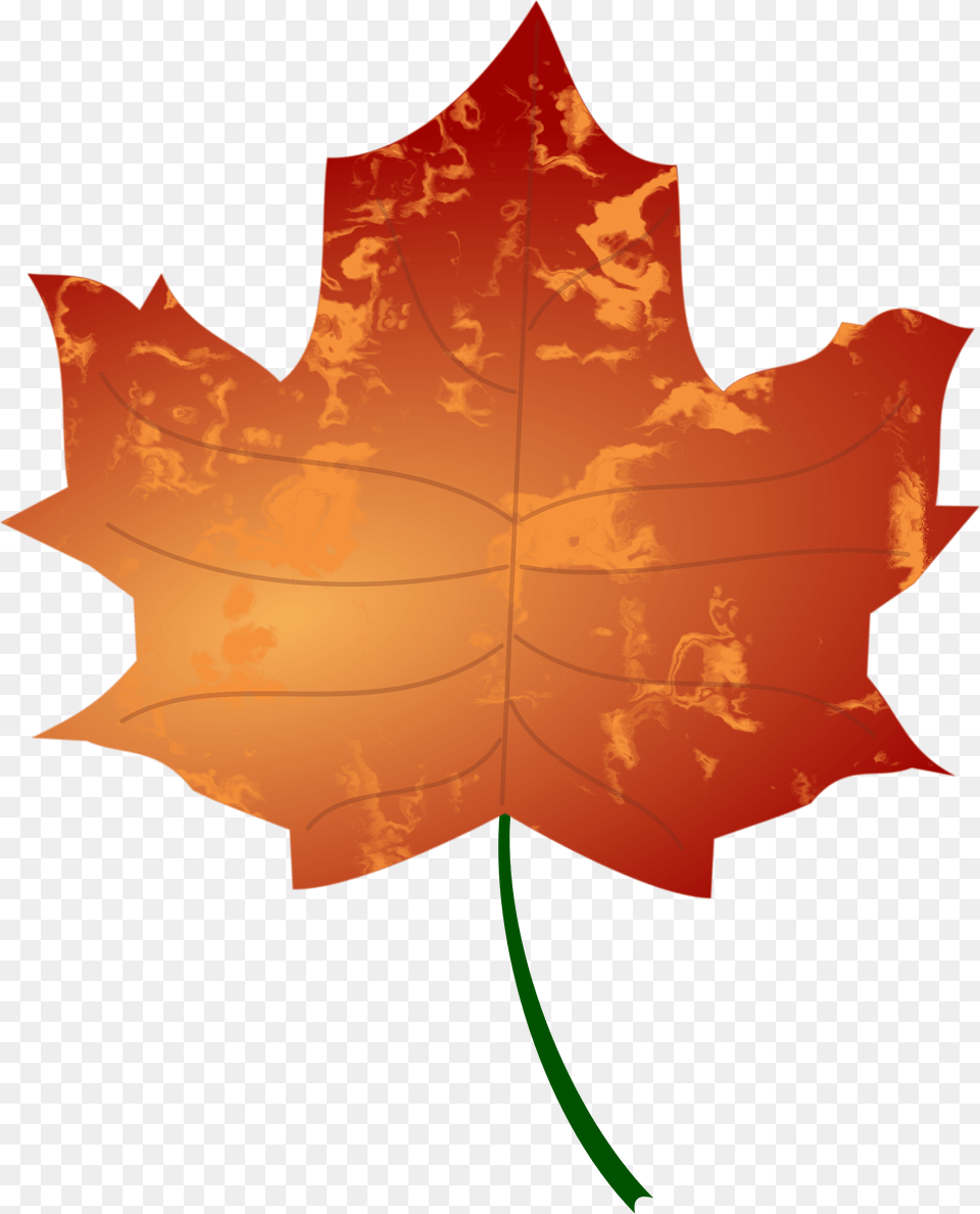 Leaf, Maple Leaf, Plant, Tree, Person Free Transparent Png