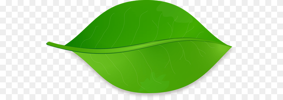 Leaf Baseball Cap, Cap, Clothing, Hat Free Transparent Png