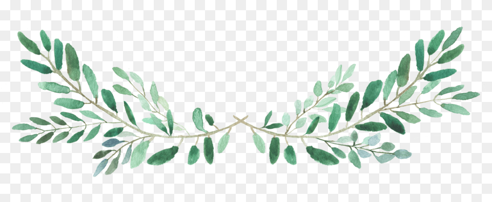Leaf Accent Clipart, Vegetation, Plant, Herbs, Herbal Free Png