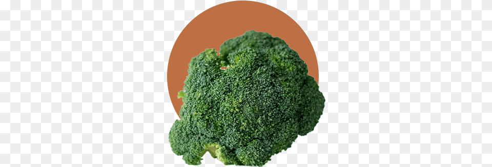 Leaf And Ginger Broccolini, Broccoli, Food, Plant, Produce Free Png