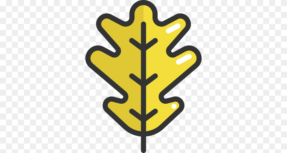 Leaf Autumn Icon, Plant, Cross, Symbol Png Image