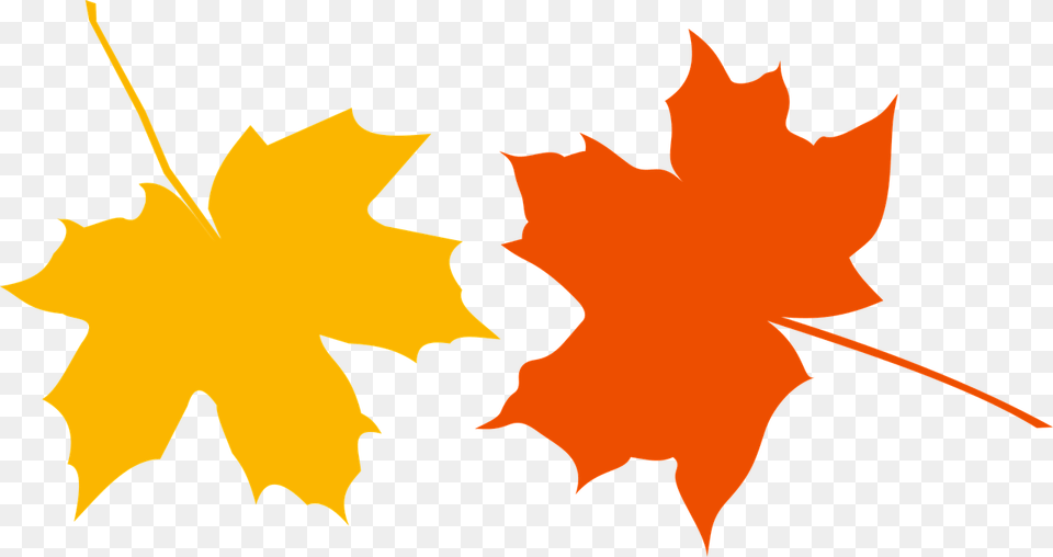 Leaf Autumn Vector, Maple Leaf, Plant, Tree, Maple Free Transparent Png