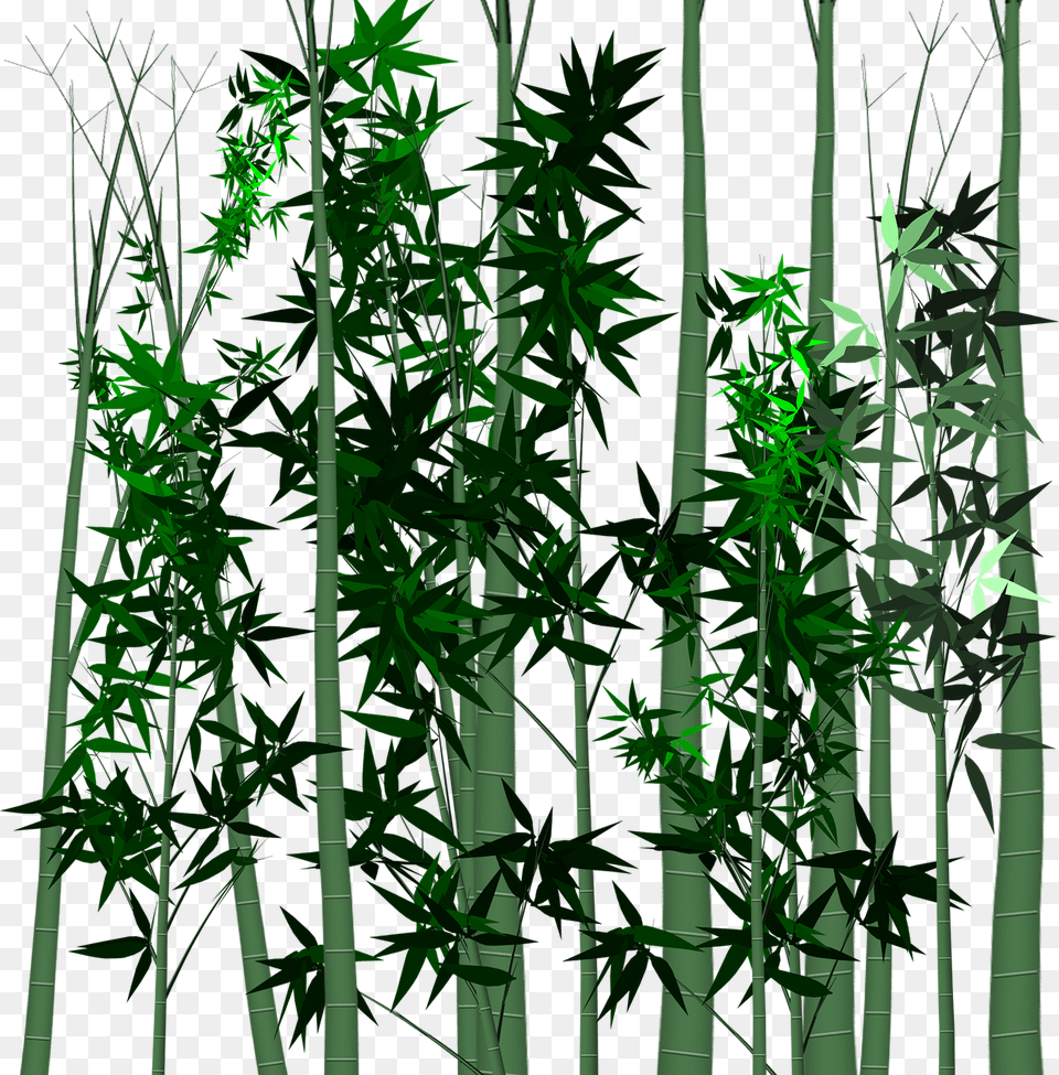 Leaf Bamboo Plant Portable Network Graphics Png Image