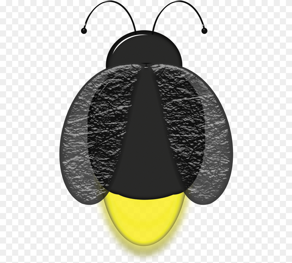 Leaf Beetle, Animal, Ball, Firefly, Insect Free Png Download