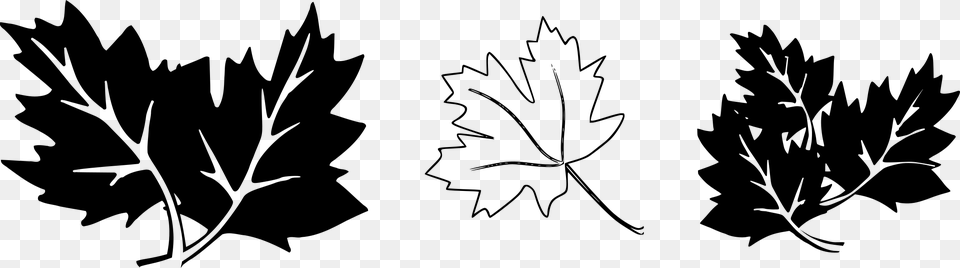 Leaf Black And White Oak Leaves Clip Art Black And White, Gray Free Png