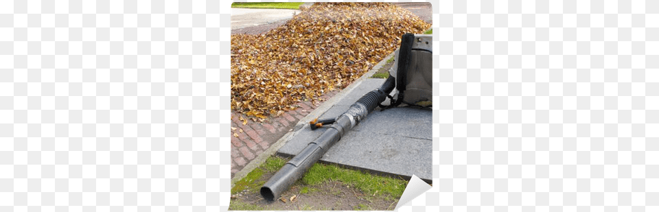 Leaf Blower Beside Pile Of Autumn Leaves Wall Mural Autumn, Architecture, Building, House, Housing Free Png Download