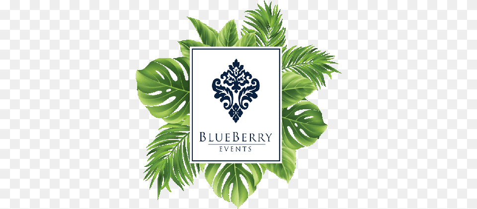 Leaf Blueberry Events Summer Tropical Background With Exotic Leaves, Art, Plant, Herbs, Herbal Free Transparent Png