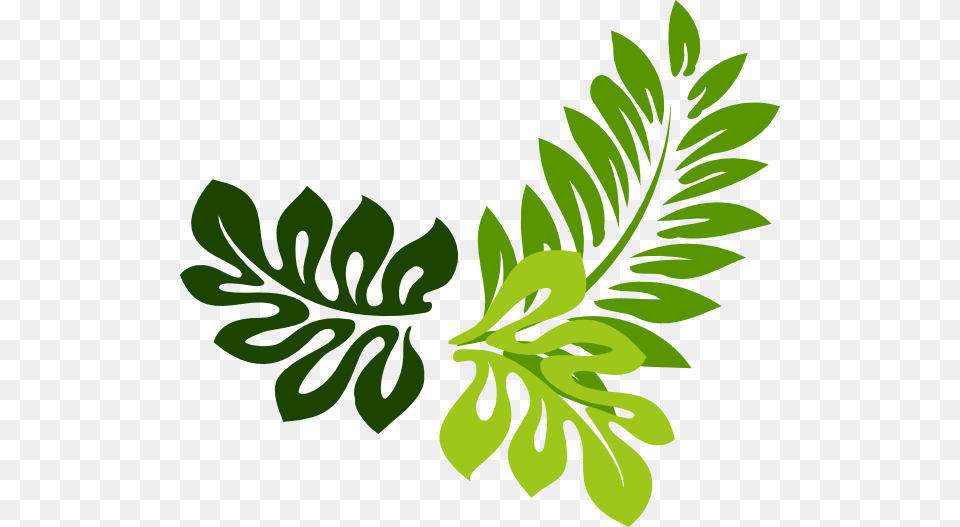 Leaf Border Clipped Art Hibiscus Clip Art, Plant, Herbs, Herbal, Green Free Png