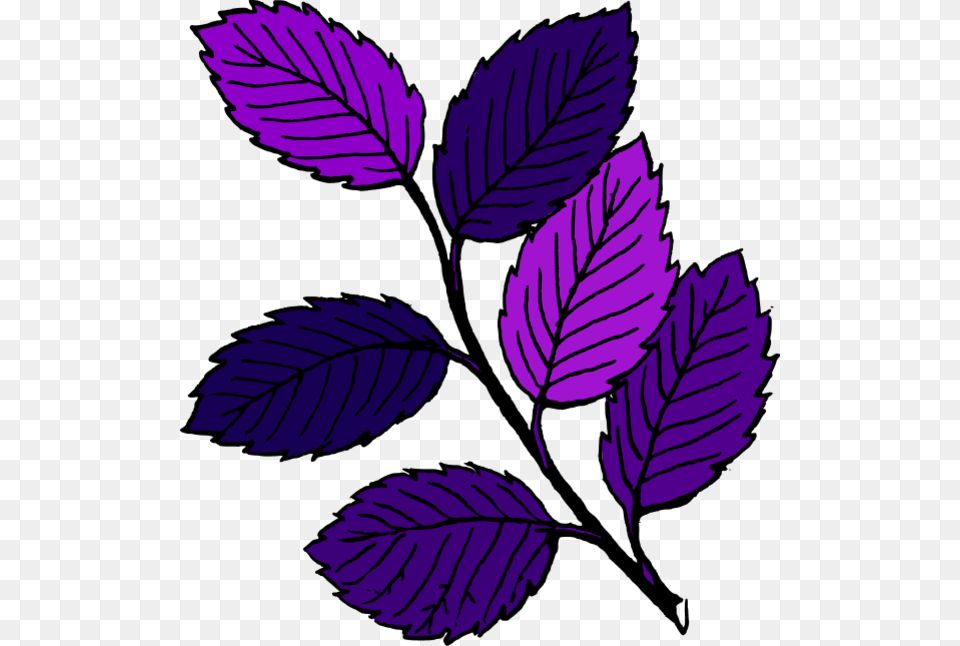 Leaf Branch Clipart, Plant, Purple Free Png