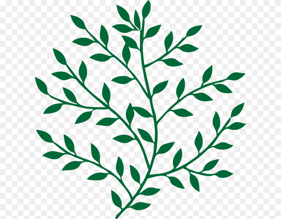 Leaf Branch Tree Bay Laurel Art, Pattern, Plant, Floral Design, Graphics Png