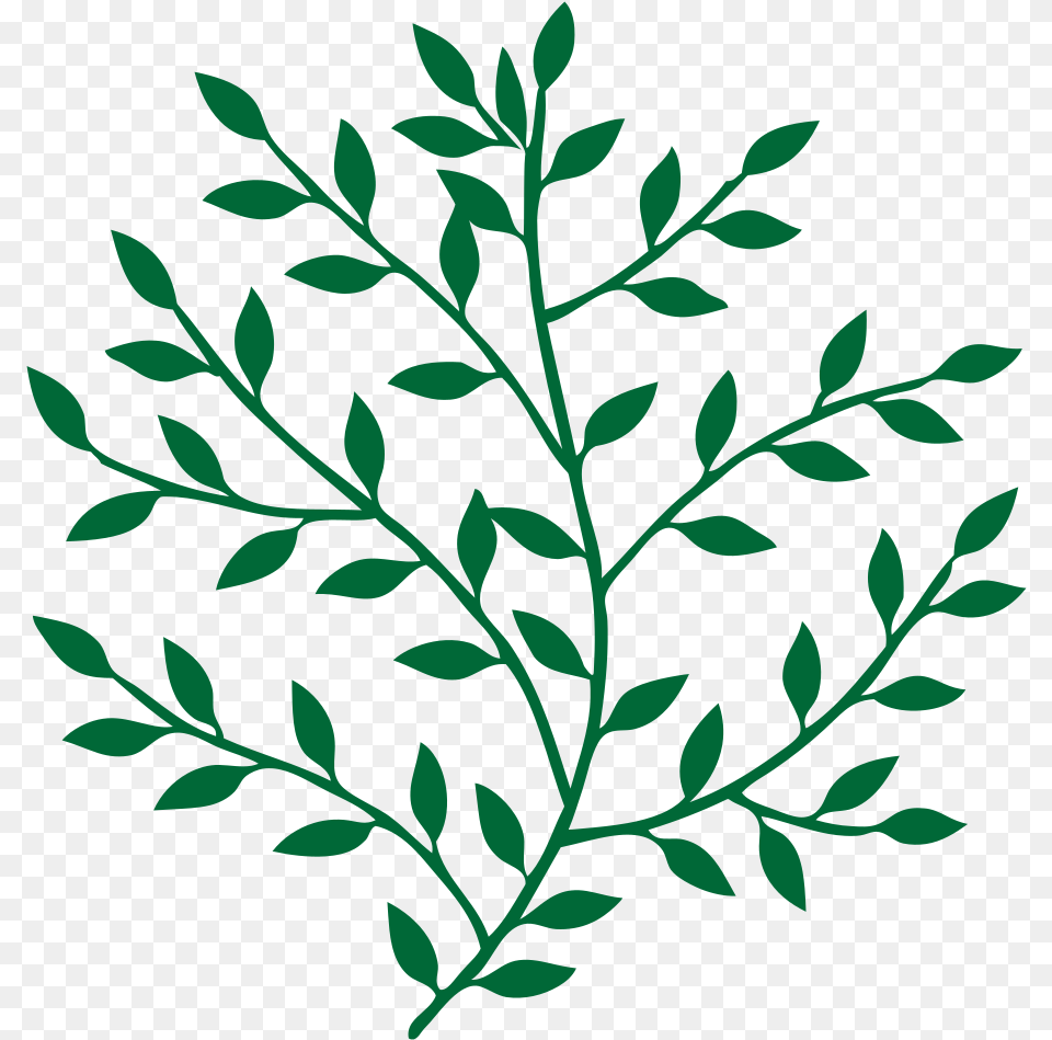 Leaf Branch Tree Bay Laurel Art Leaves On A Branch, Floral Design, Graphics, Pattern, Plant Free Transparent Png