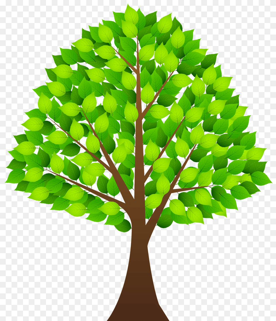 Leaf Bush Cliparts, Green, Oak, Plant, Potted Plant Free Transparent Png