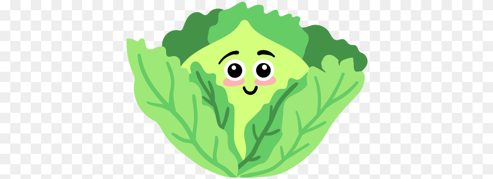 Leaf Cabbage Flat Illustration, Vegetable, Produce, Plant, Leafy Green Vegetable Free Png Download