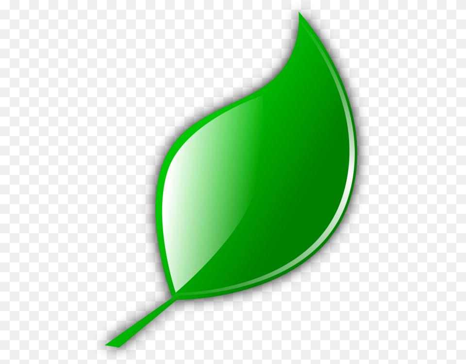 Leaf Cartoon Computer Icons Green, Plant, Astronomy, Moon, Nature Png