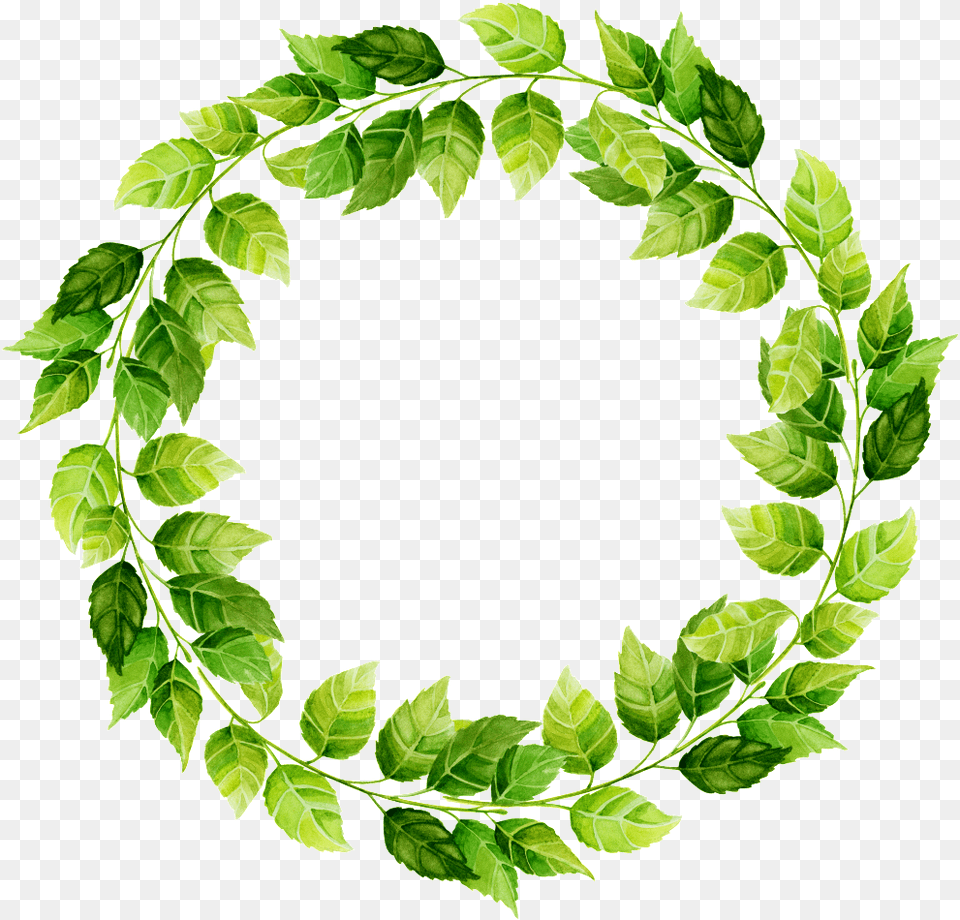 Leaf Circle, Green, Plant, Wreath Png