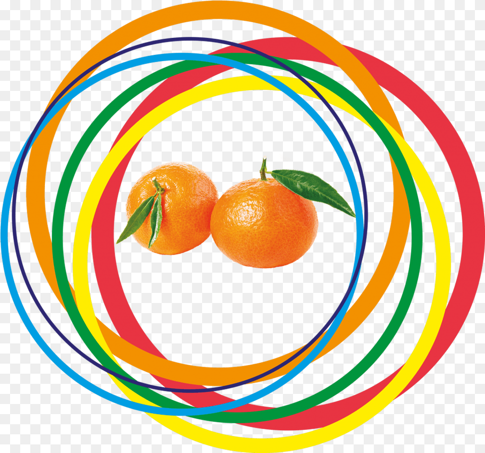 Leaf Clementine Rangpur, Citrus Fruit, Food, Fruit, Orange Free Transparent Png