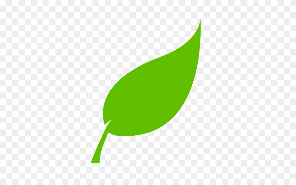 Leaf Clip Art, Plant, Herbal, Herbs, Green Png Image