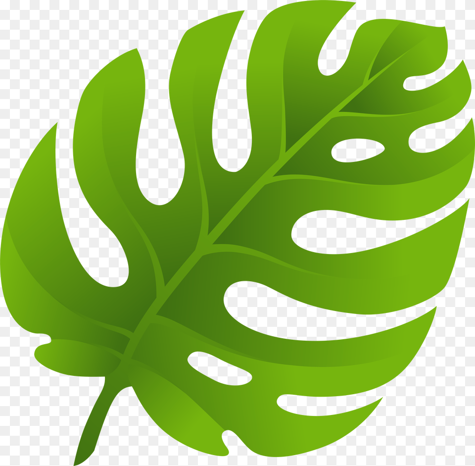 Leaf Clip Art, Plant, Fern Png Image