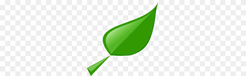 Leaf Clip Art, Plant, Green Png