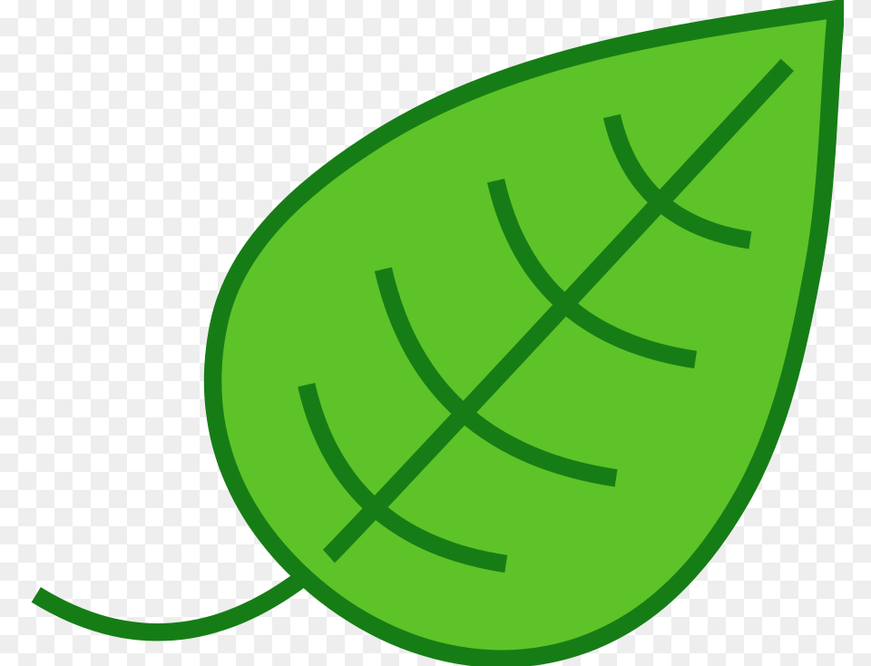 Leaf Clip Art, Plant Png