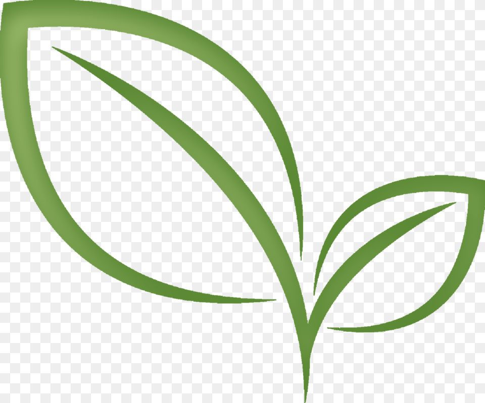 Leaf Clip Art, Green, Herbal, Herbs, Plant Free Png Download