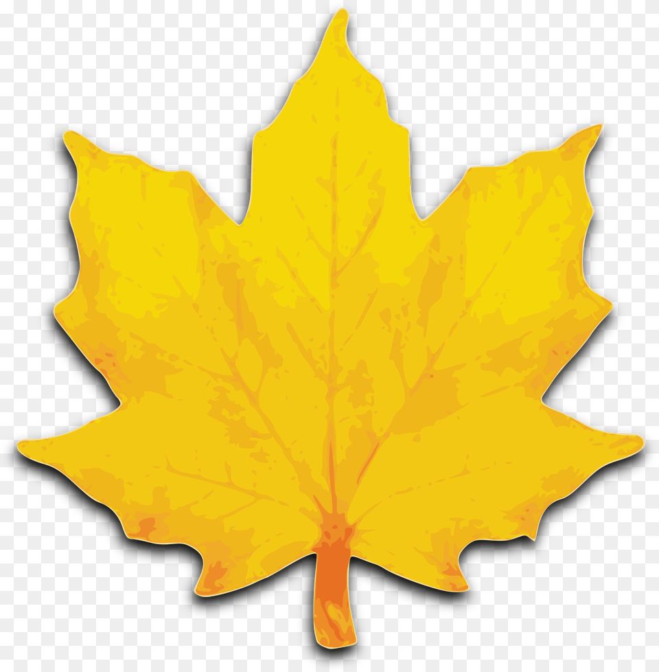 Leaf Clip Art Orange Maple Falling Leaves Maple Leaf, Plant, Tree, Animal Free Transparent Png