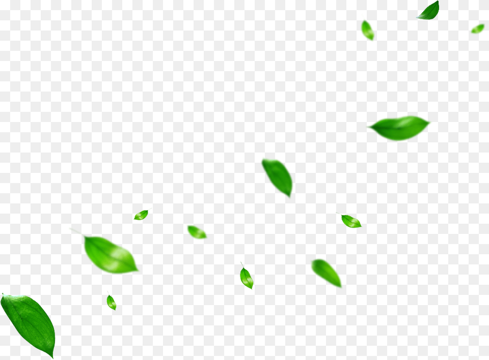 Leaf Clip Art Portable Network Graphics Plant Stem Green Leaves Overlay, Flower Png Image