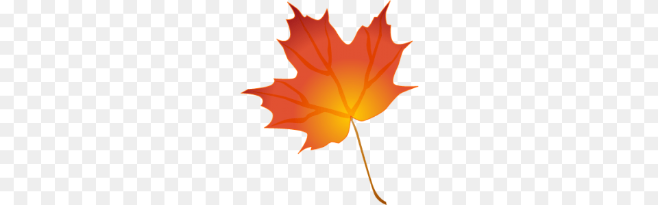 Leaf Clip Art Transparent Background, Maple Leaf, Plant, Tree, Person Png Image