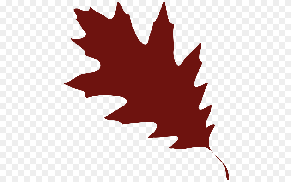 Leaf Clip Arts For Web, Plant, Tree, Maple Leaf, Person Free Png