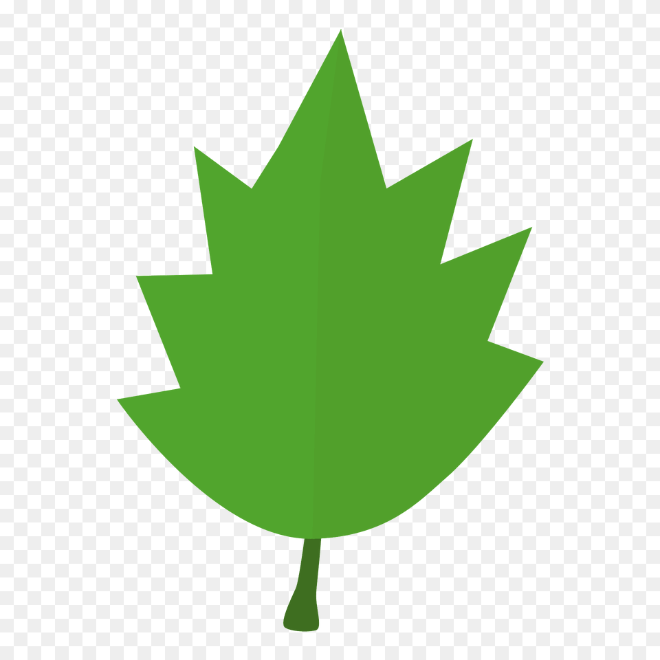 Leaf Clipart, Green, Plant, Maple Leaf, Tree Free Png