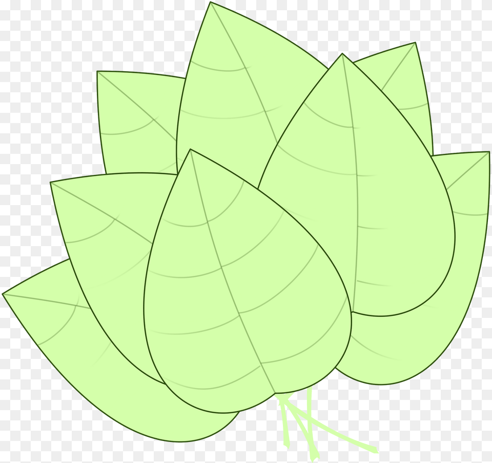 Leaf Clipart, Plant Free Transparent Png