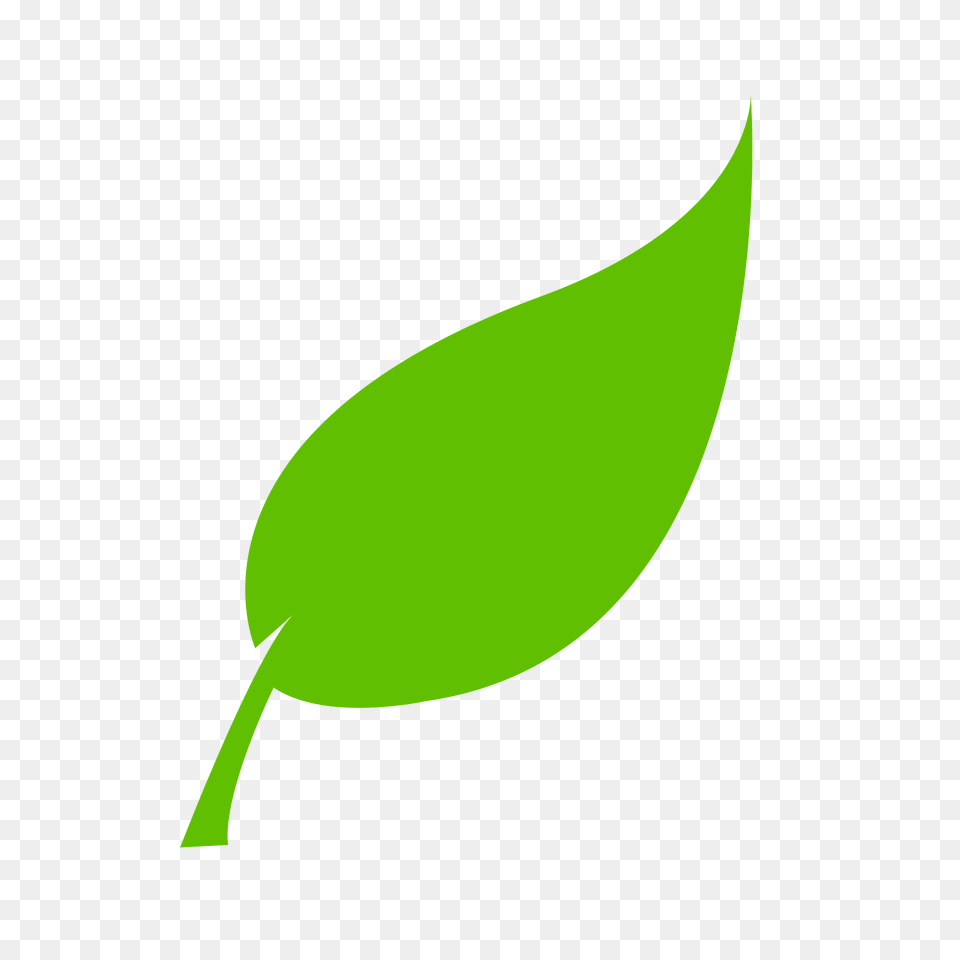 Leaf Clipart, Plant, Green, Astronomy, Outdoors Png