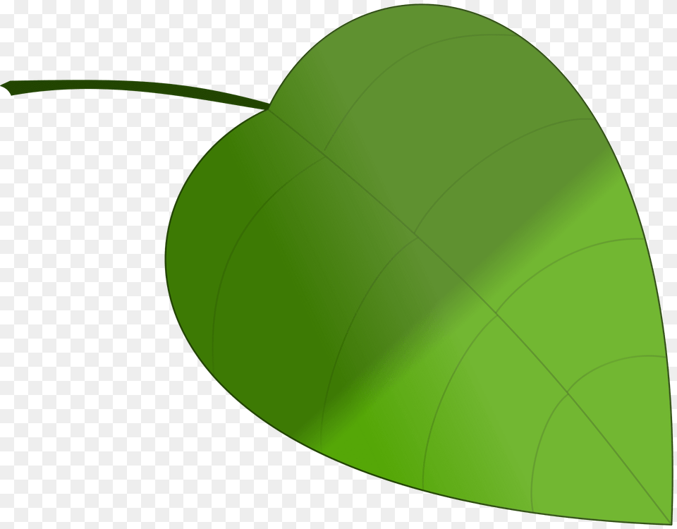 Leaf Clipart, Green, Plant, Food, Fruit Free Png