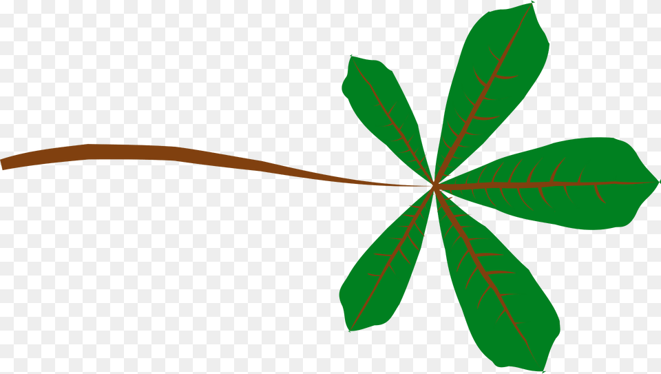 Leaf Clipart, Plant, Vegetation, Tree, Green Png