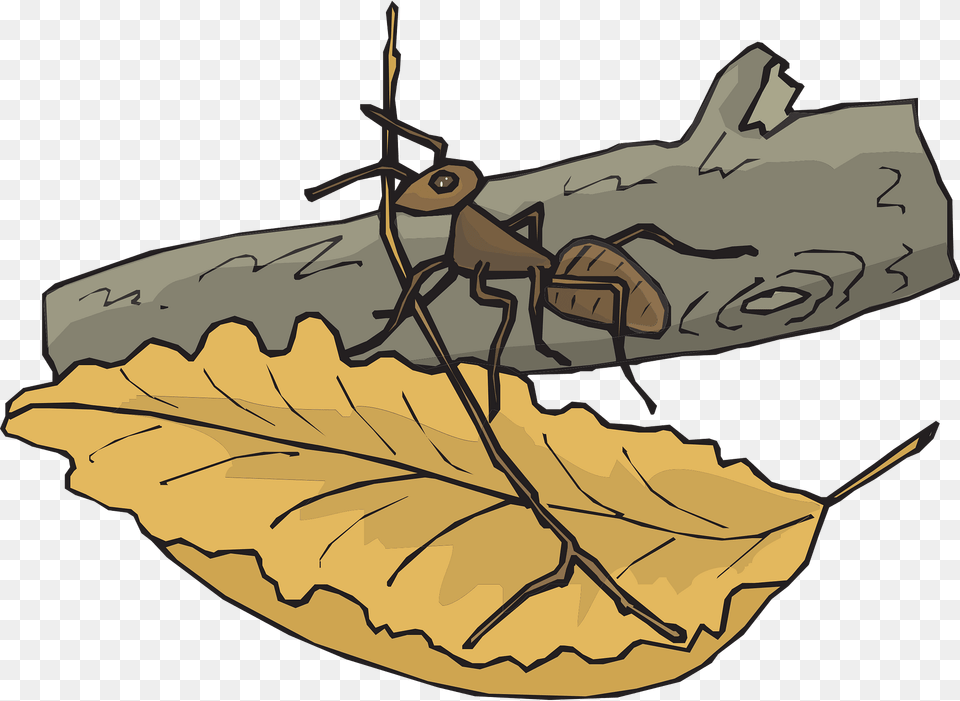 Leaf Clipart, Animal Png Image