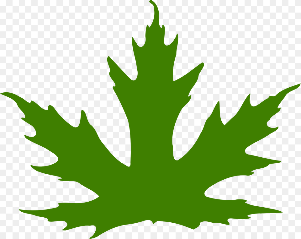 Leaf Clipart, Plant, Maple Leaf, Tree, Animal Png Image