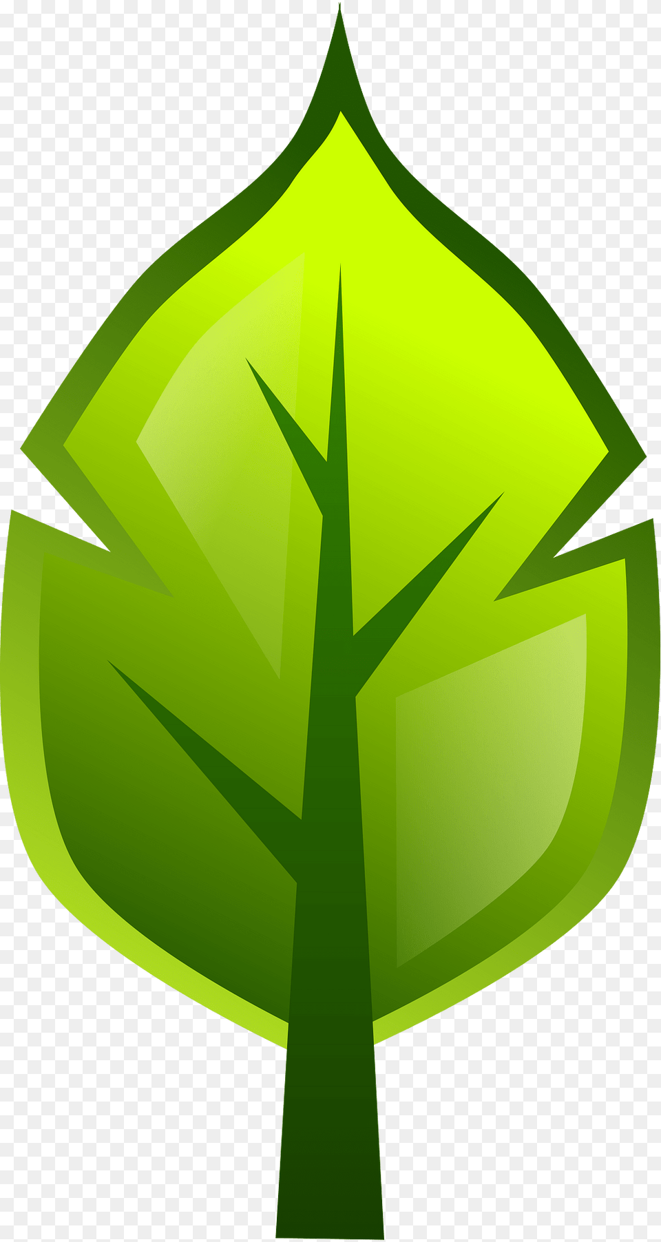 Leaf Clipart, Green, Plant Png Image