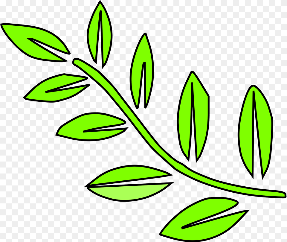 Leaf Clipart, Herbs, Herbal, Green, Plant Free Transparent Png