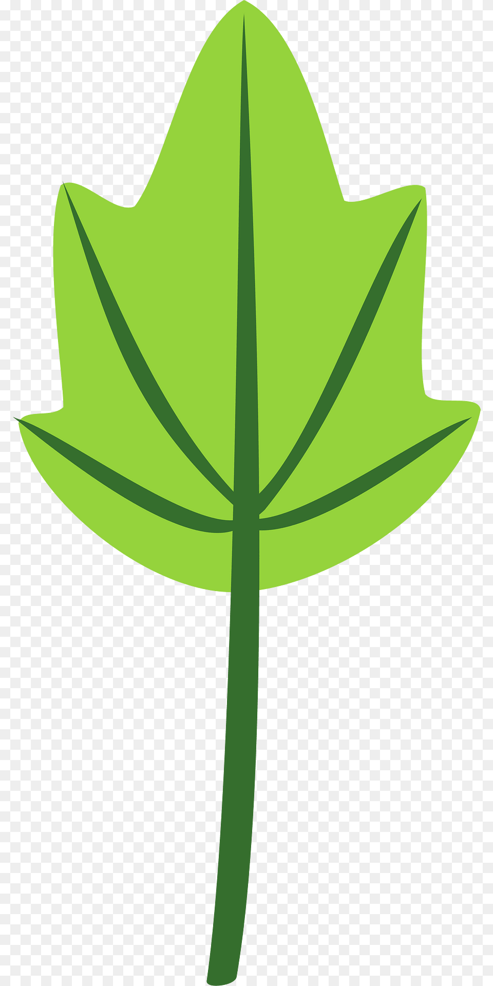 Leaf Clipart, Green, Plant Free Png Download