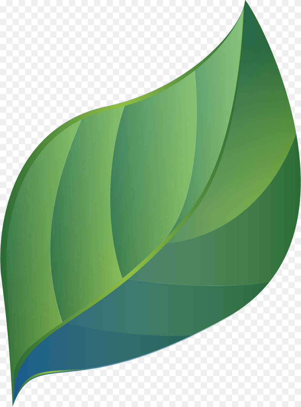 Leaf Clipart, Green, Plant, Art, Graphics Free Png